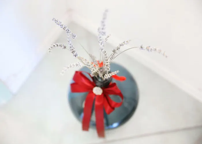 Apartman Zara アパート ザダル